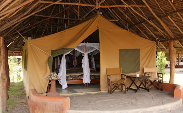 flamingo hill tented camp