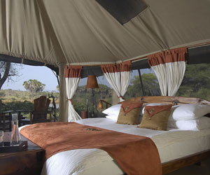 elephant-bedroom-camp